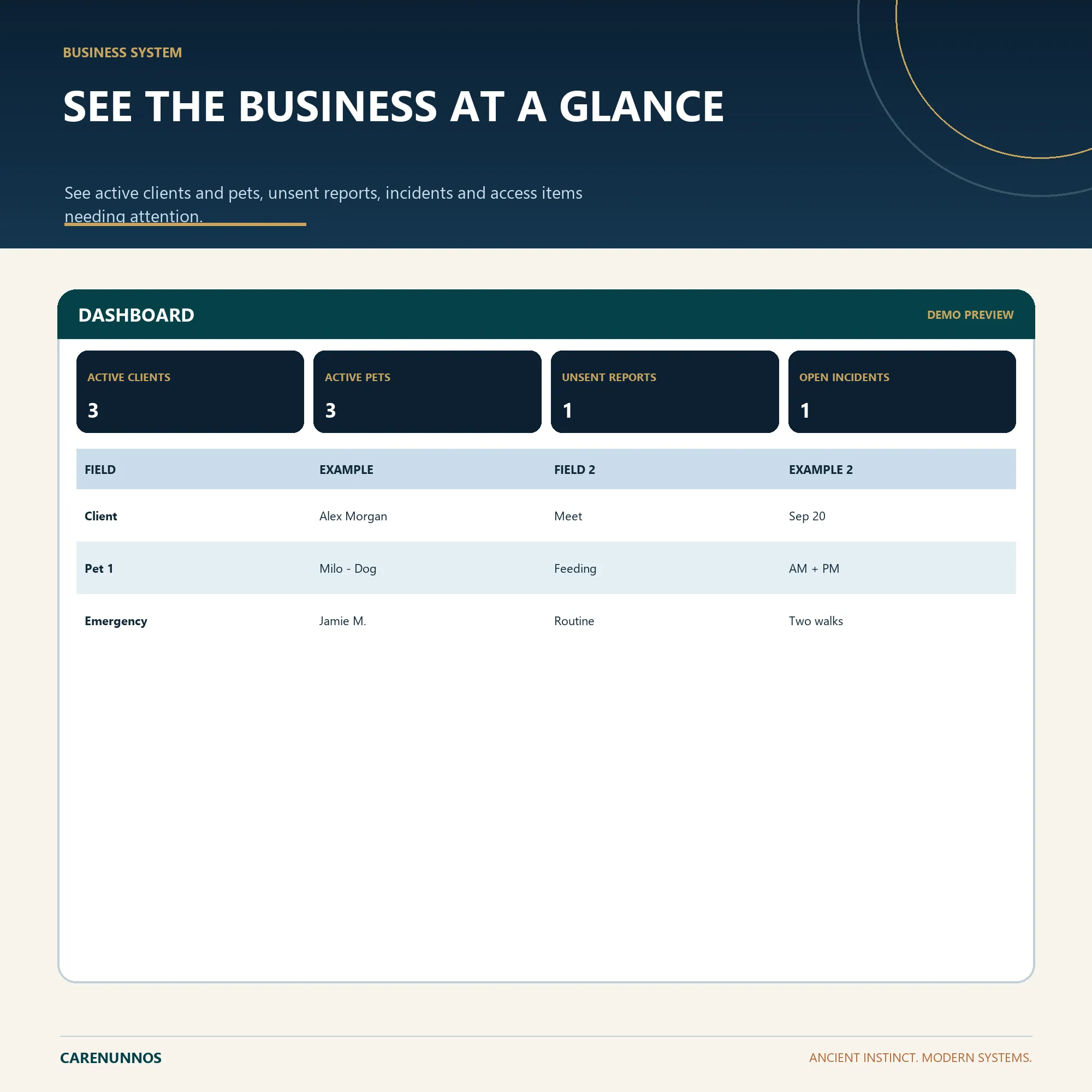 Dashboard preview with fictional example metrics for the Pet Sitter Client Intake & Visit Report Add-on.