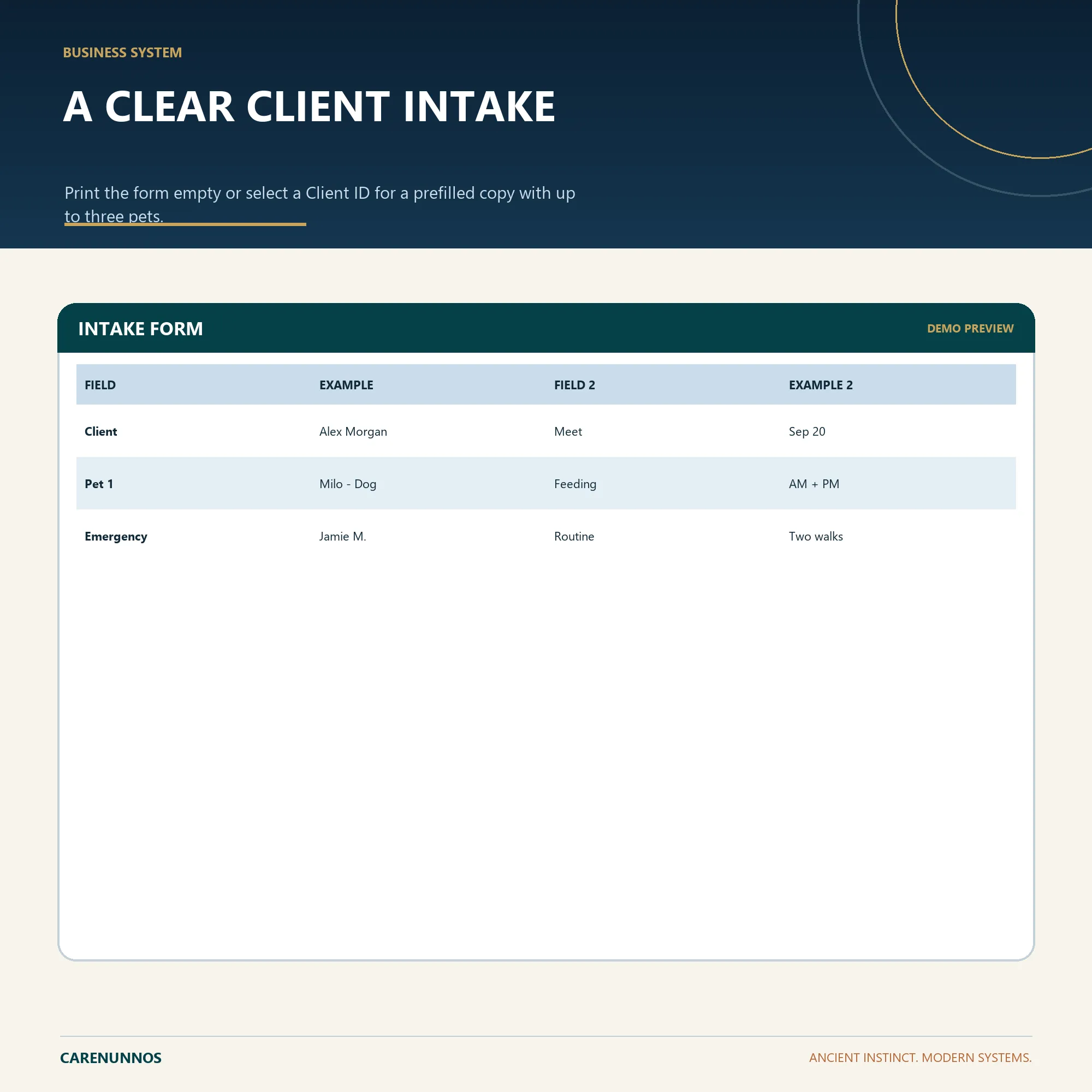Demo preview of INTAKE FORM fields included in the spreadsheet template.