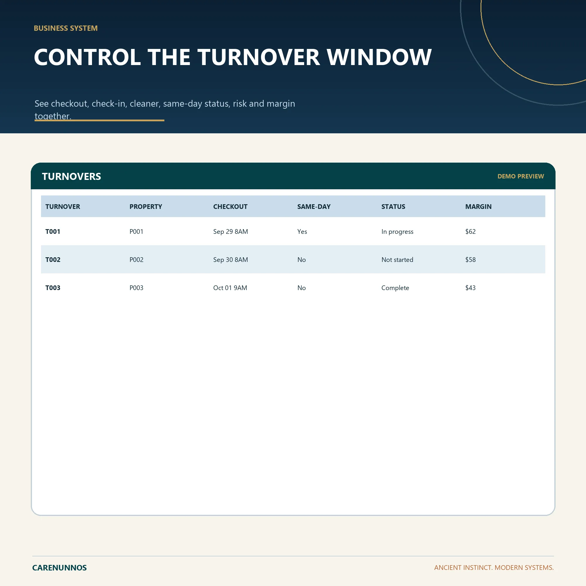 Demo preview of TURNOVERS fields included in the spreadsheet template.