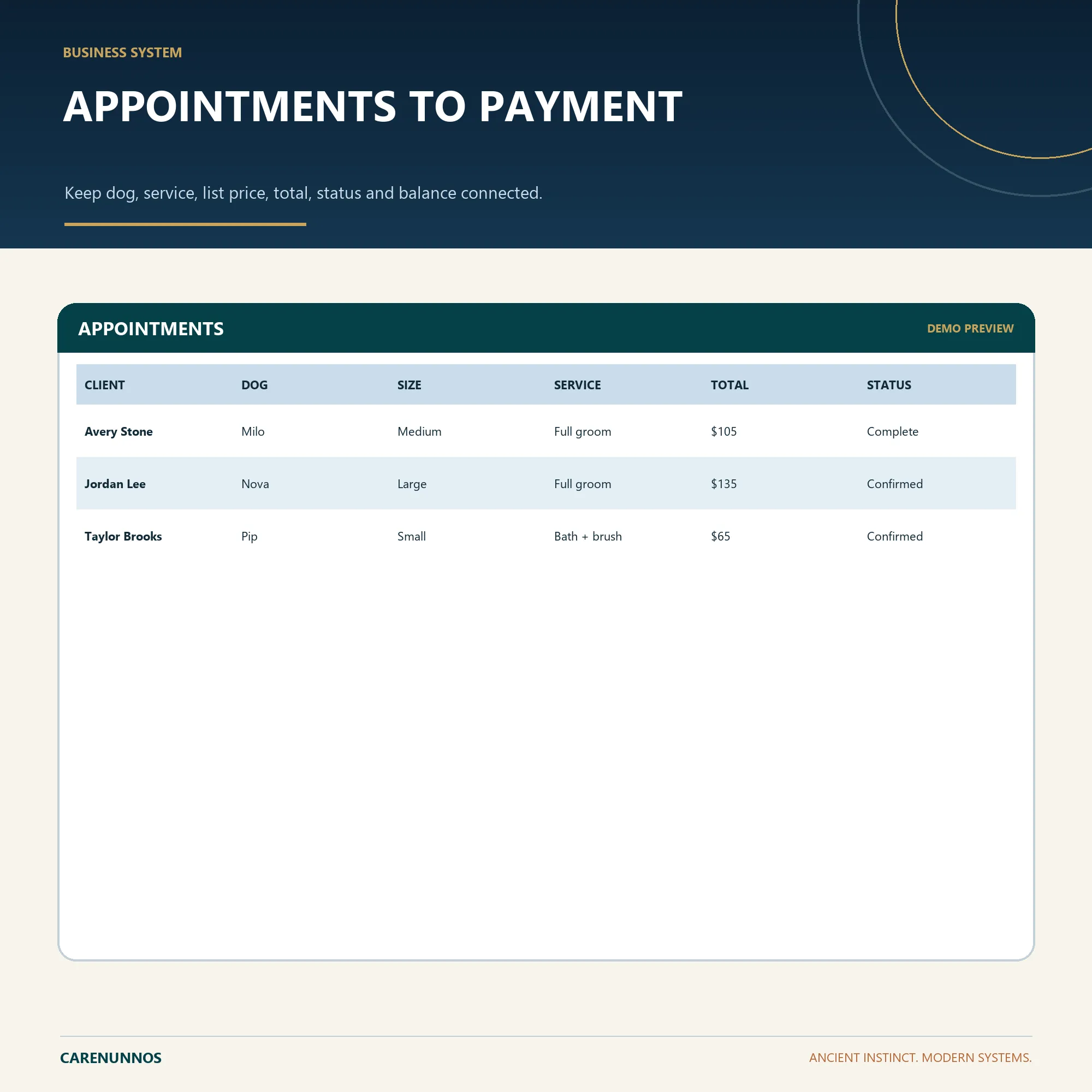 Demo preview of APPOINTMENTS fields included in the spreadsheet template.