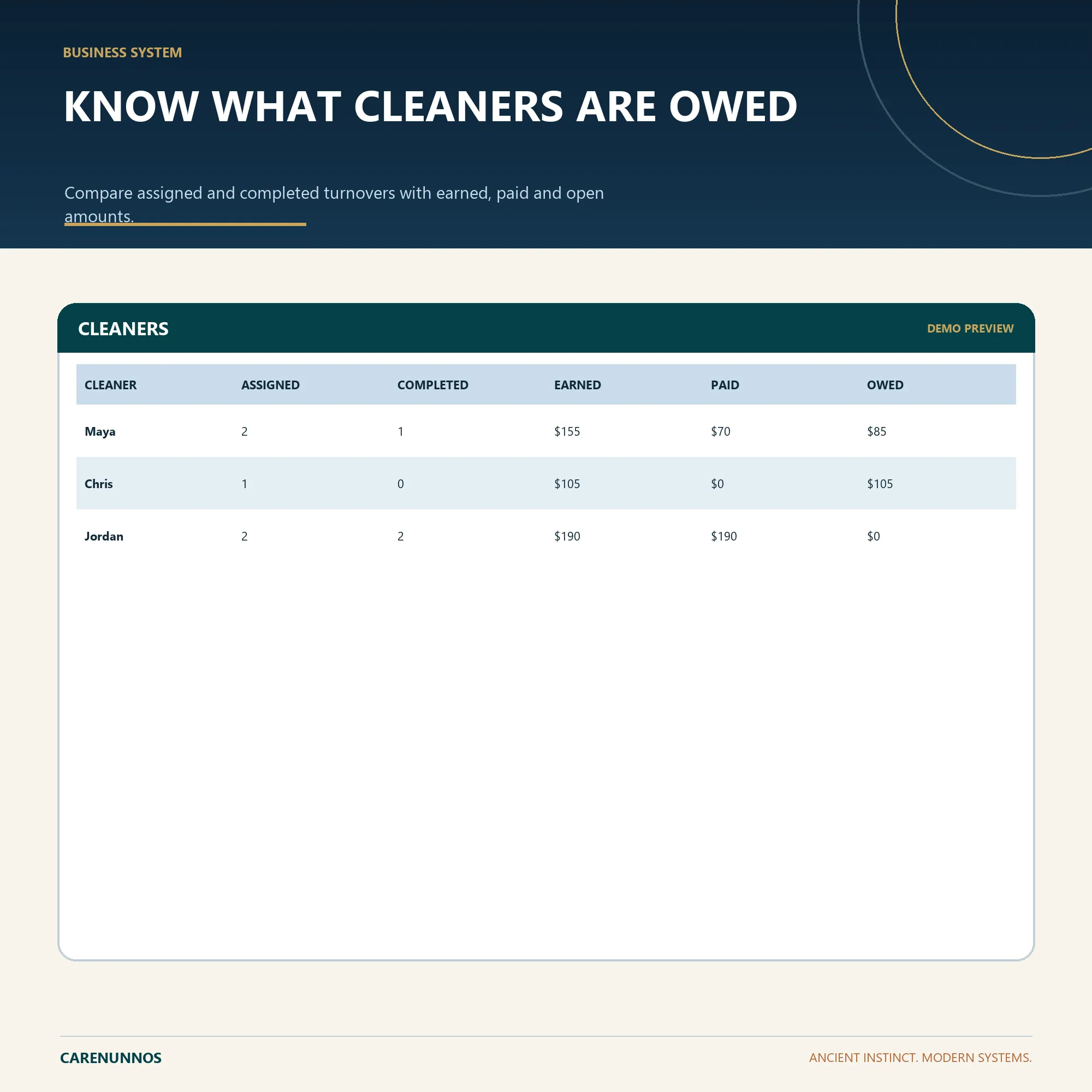 Demo preview of CLEANERS fields included in the spreadsheet template.