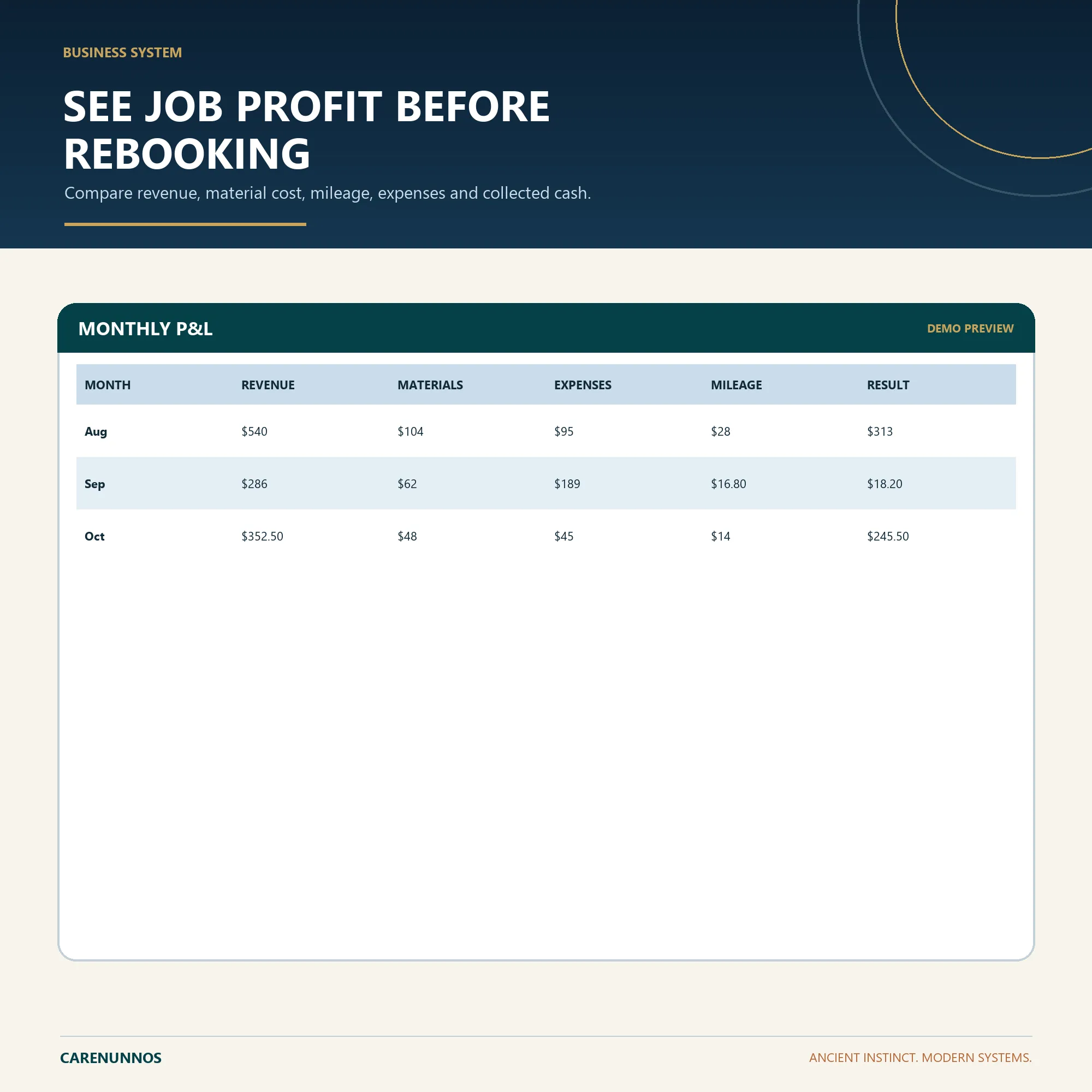 Demo preview of MONTHLY P&L fields included in the spreadsheet template.