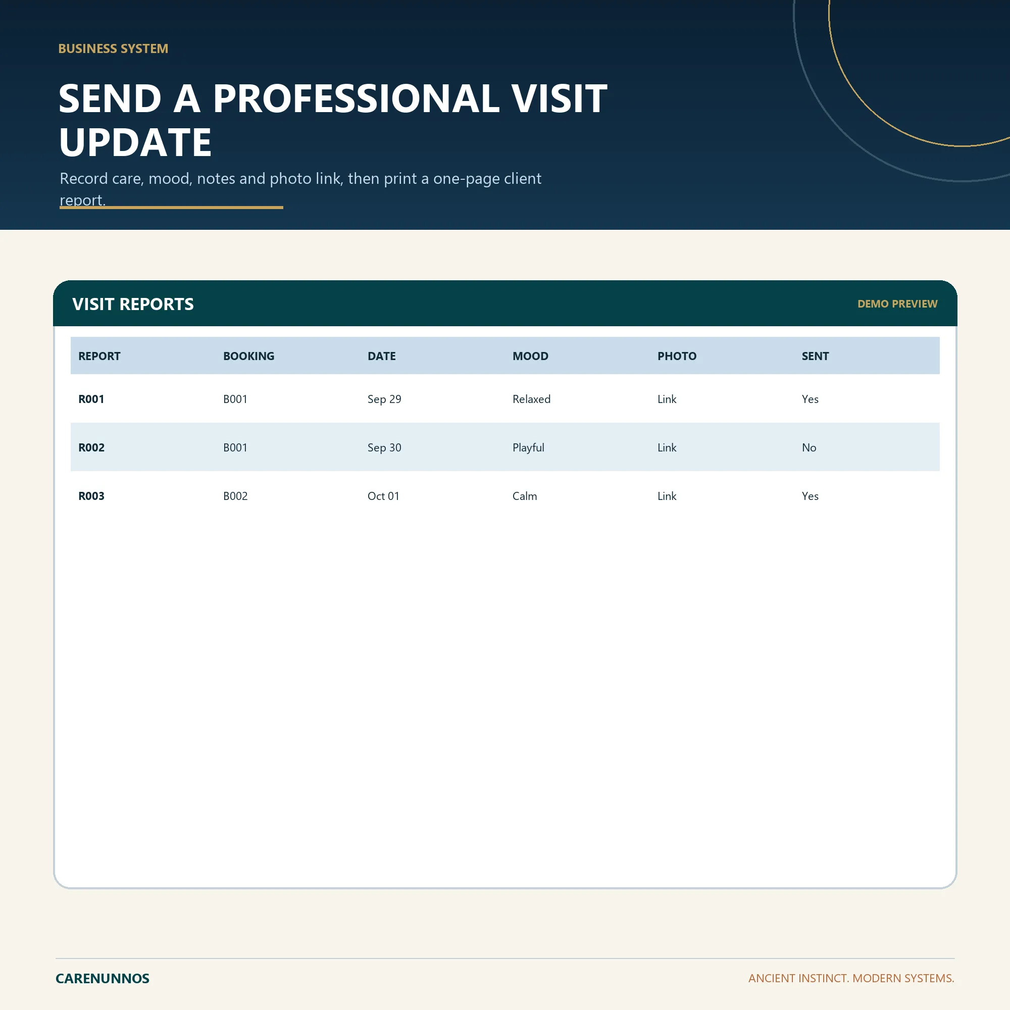 Demo preview of VISIT REPORTS fields included in the spreadsheet template.